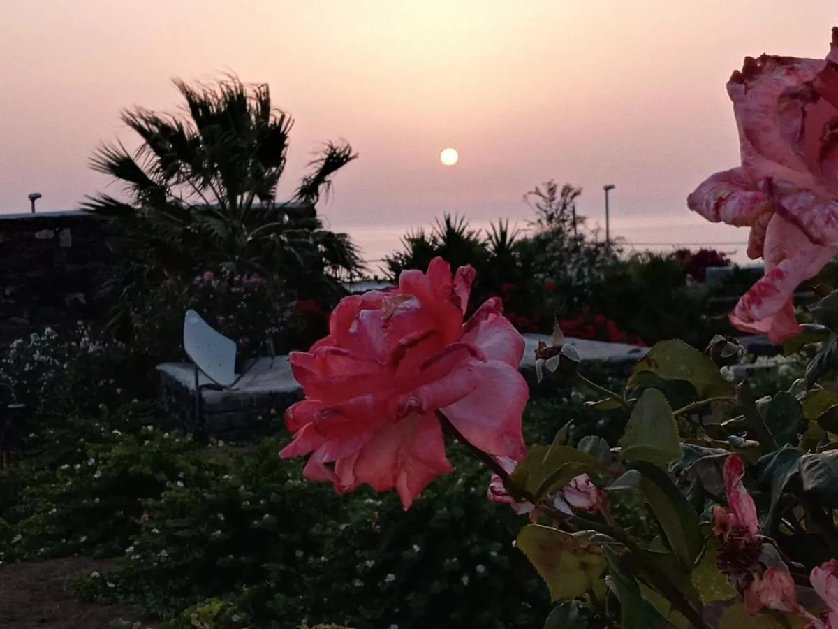 Appartamento Dammuso Pantelleria - Fiori D'Ossidiana Kamma