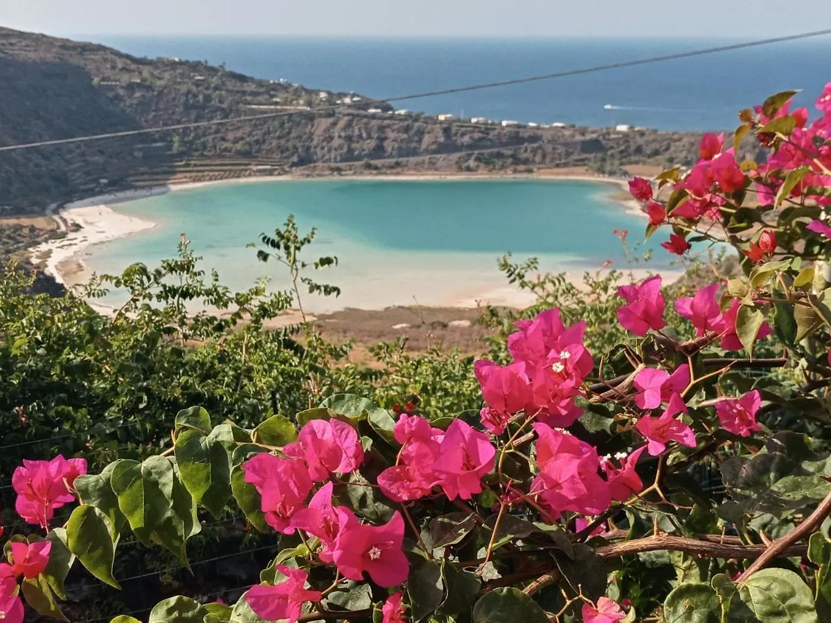 Dammuso Pantelleria - Fiori D'Ossidiana Apartment Kamma Italy