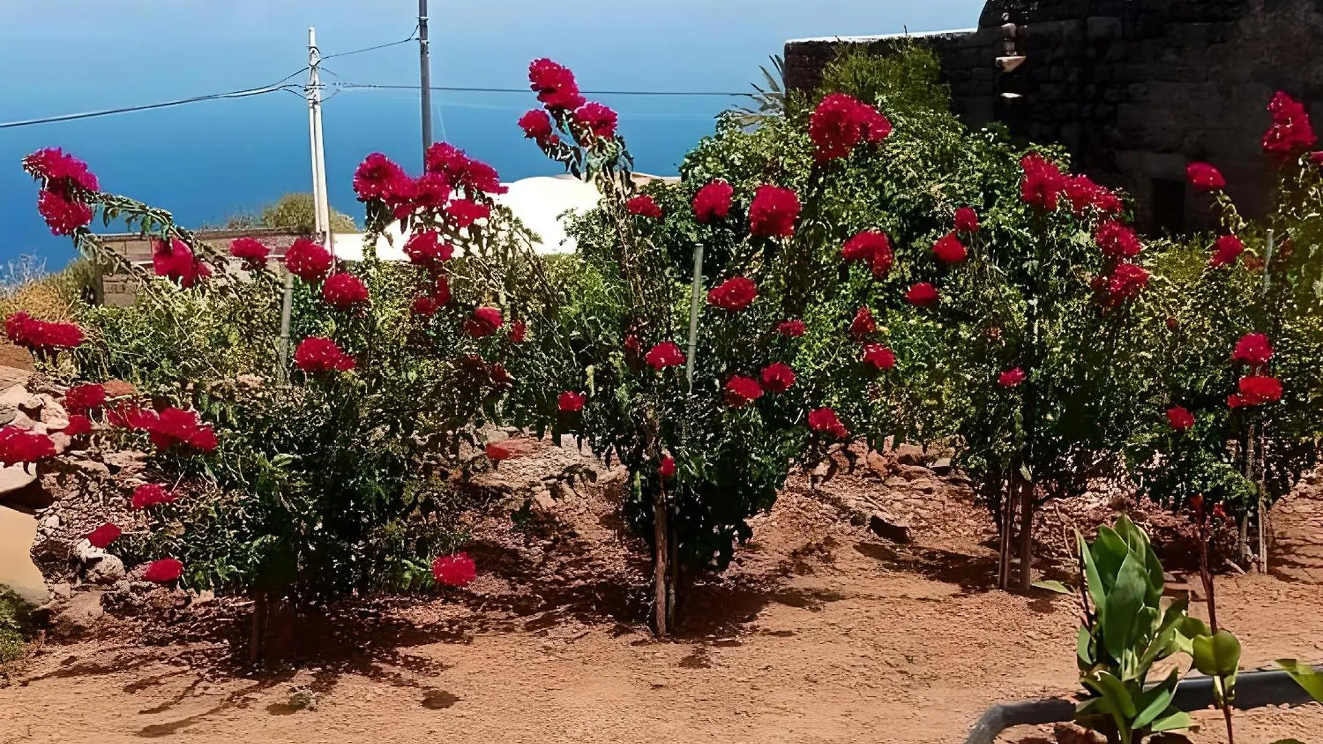 Dammuso Pantelleria - Fiori D'Ossidiana Apartment Kamma 0*,