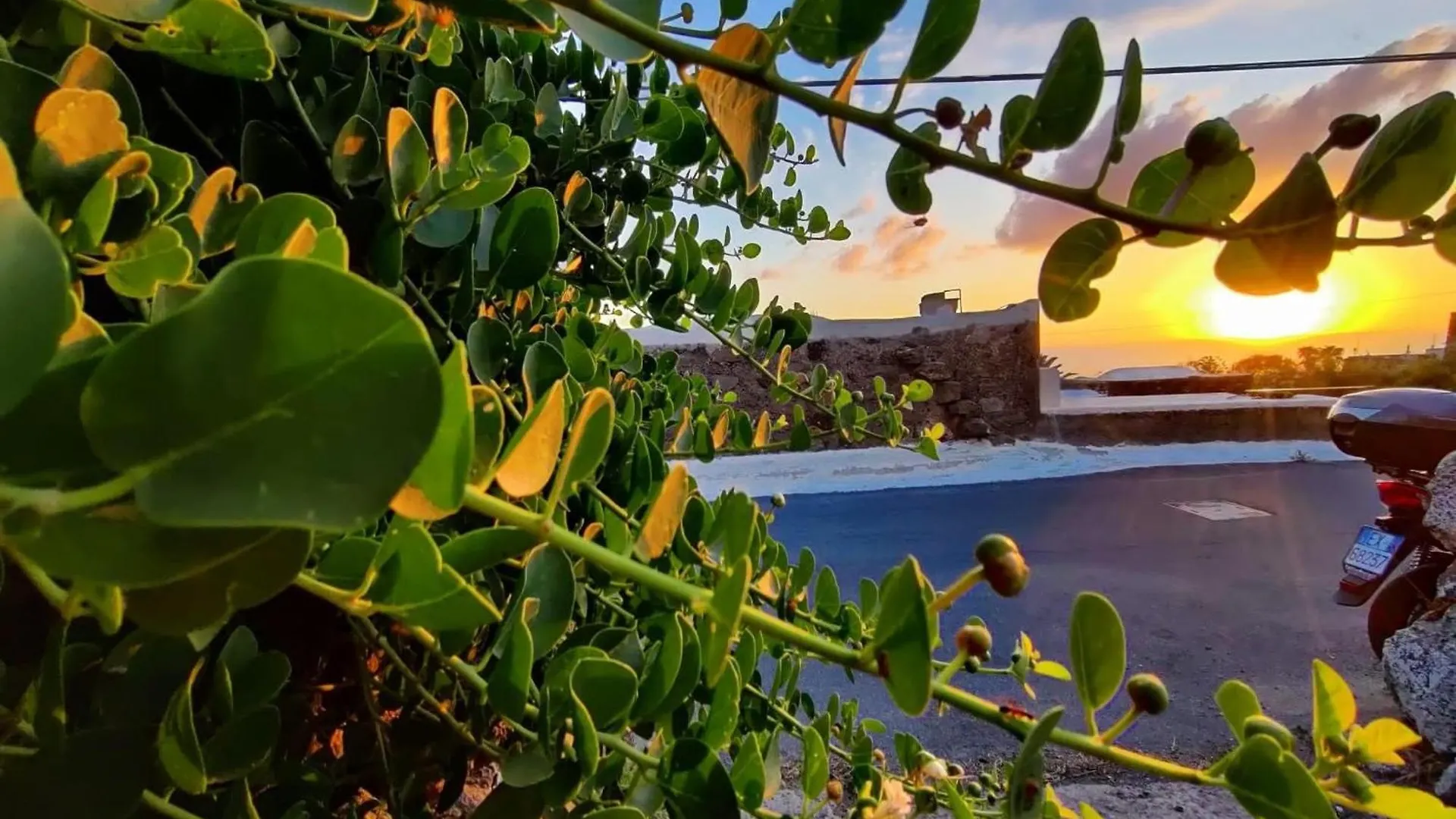 Dammuso Pantelleria - Fiori D'Ossidiana Apartment Kamma 0*,