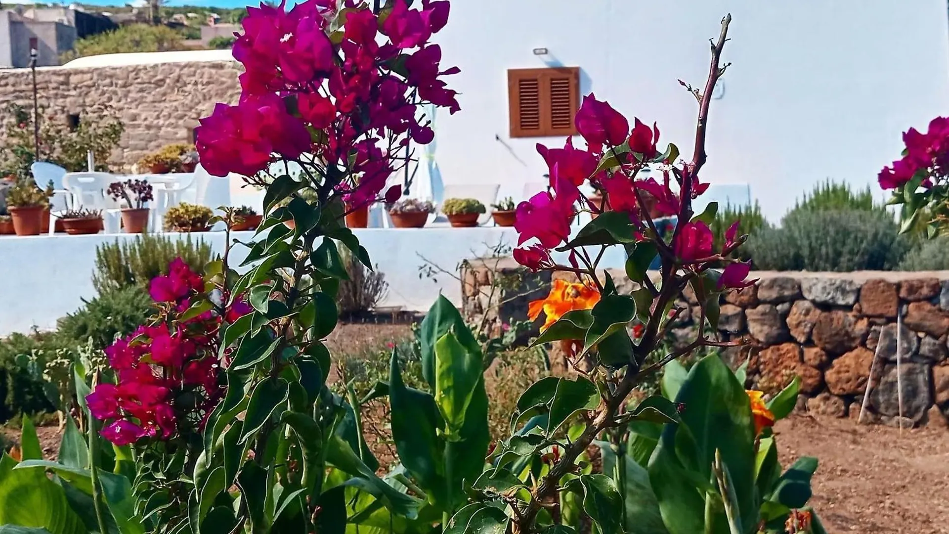Dammuso Pantelleria - Fiori D'Ossidiana Apartment Kamma